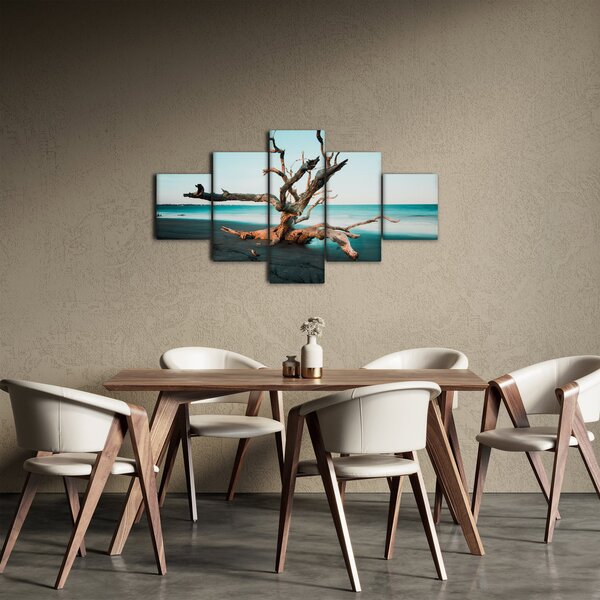 Obraz - Wyłowiono na plaży (125x70 cm)
