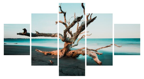 Obraz - Wyłowiono na plaży (125x70 cm)