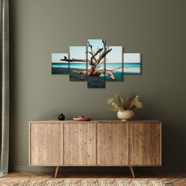Obraz - Wyłowiono na plaży (125x70 cm)