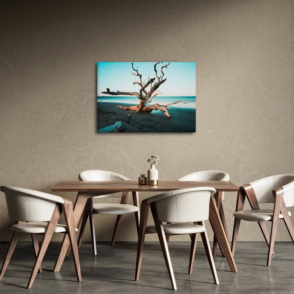 Obraz - Wyłowiono na plaży (70x50 cm)