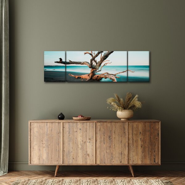 Obraz - Wyłowiono na plaży (170x50 cm)