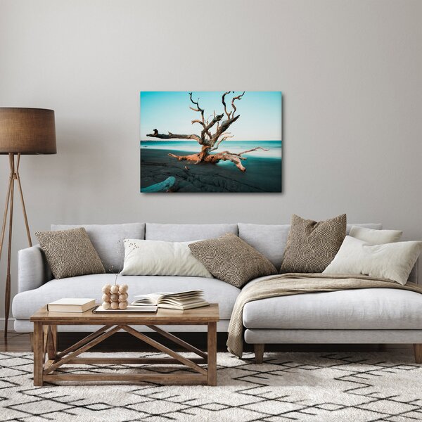 Obraz - Wyłowiono na plaży (70x50 cm)