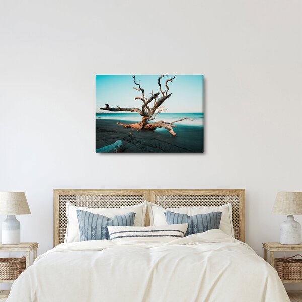 Obraz - Wyłowiono na plaży (70x50 cm)