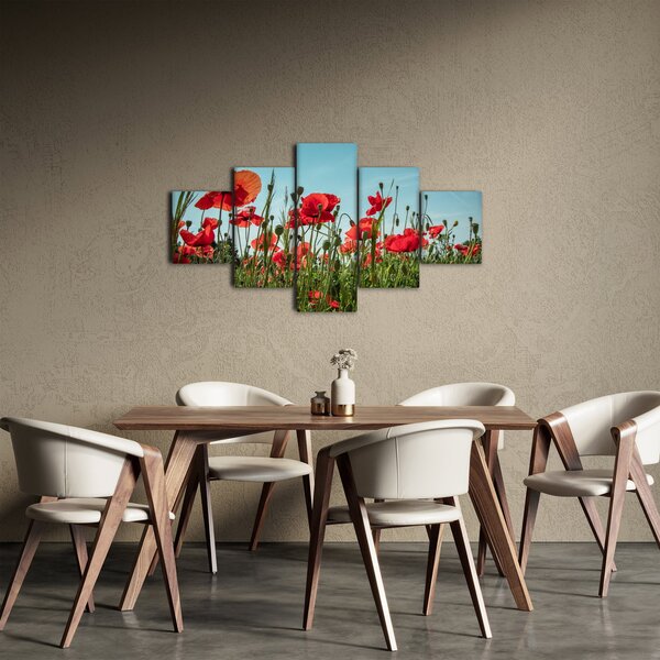 Obraz - Na polu maków (125x70 cm)