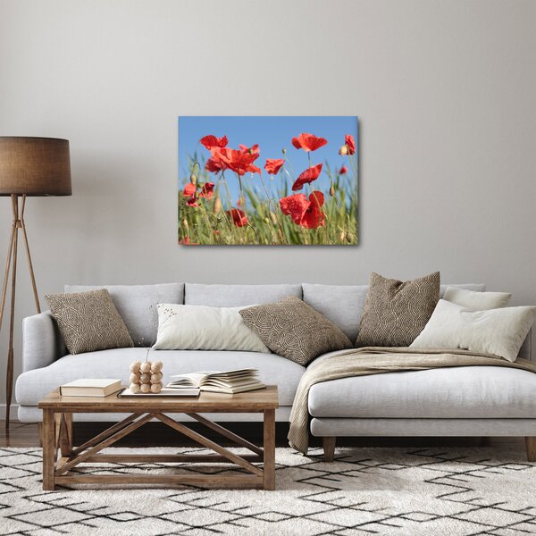 Obraz - Maki (70x50 cm)