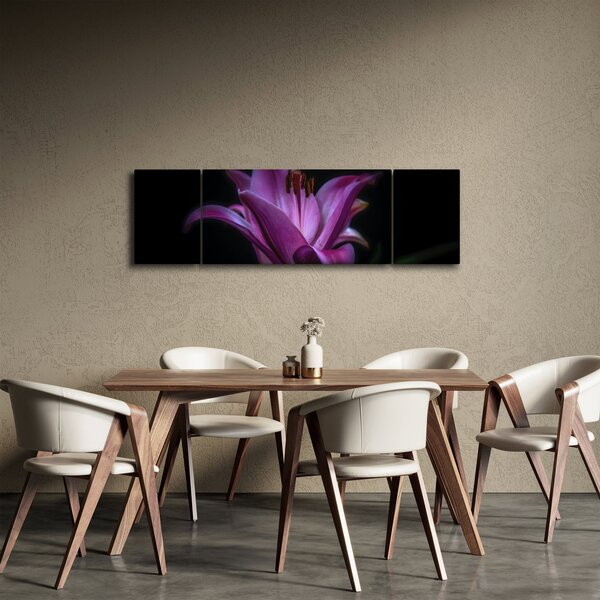 Obraz lilii (170x50 cm)