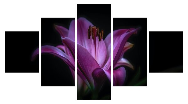 Obraz lilii (125x70 cm)