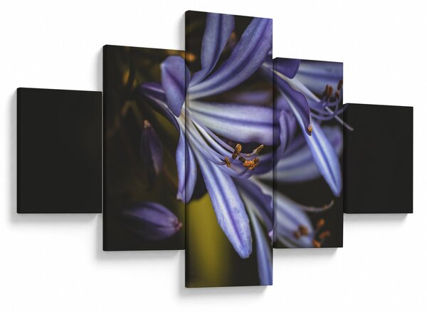 Obraz - Lilia (125x70 cm)