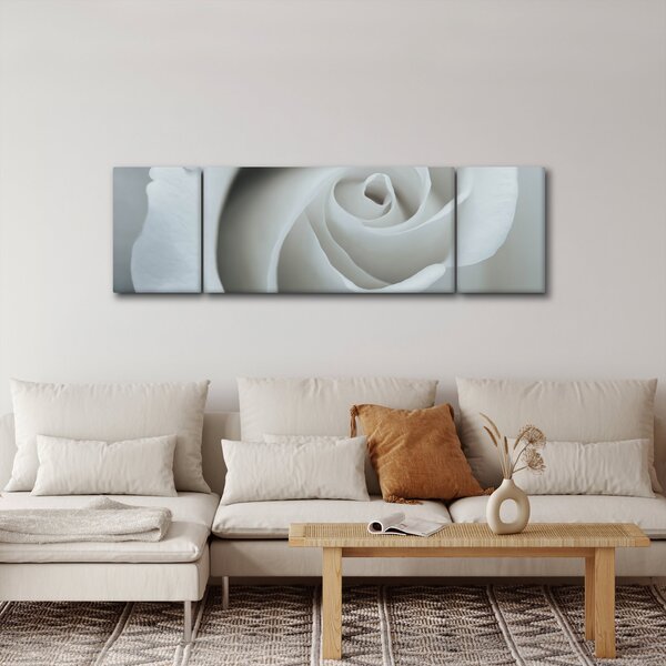 Obraz - Biała róża (170x50 cm)