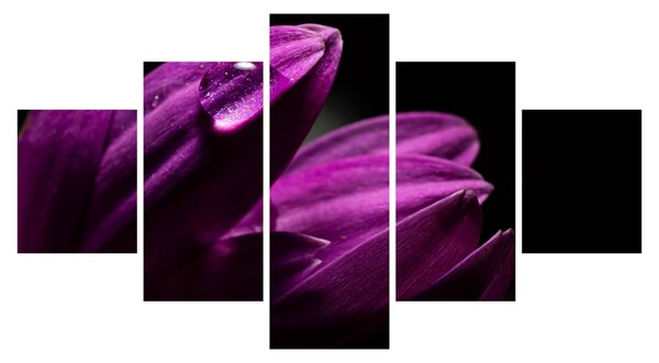 Obraz - Kropla wody (125x70 cm)