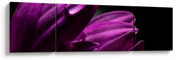 Obraz - Kropla wody (170x50 cm)