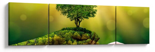 Obraz - Matka ziemia (170x50 cm)