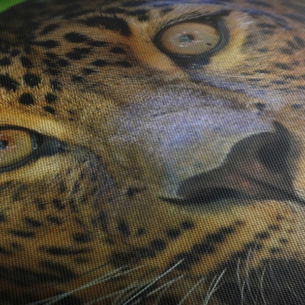 Obraz - Portret lamparta, Sri Lanka (z zegarem) (90x30 cm)