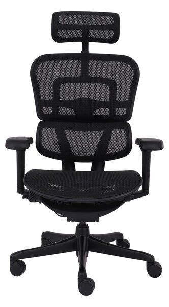 Fotel ergonomiczny Ergohuman 2 Ultra BS Black, biurowy, obracany, na kółkach, do biura