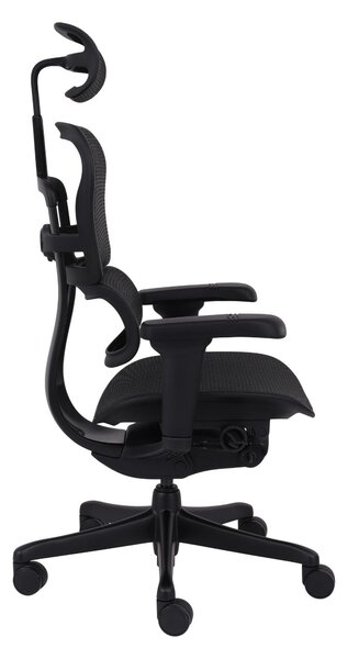 Fotel ergonomiczny Ergohuman 2 Ultra BS Black, biurowy, obracany, na kółkach, do biura
