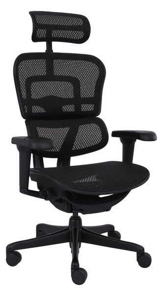 Fotel ergonomiczny Ergohuman 2 Ultra BS Black, biurowy, obracany, na kółkach, do biura