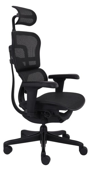 Fotel ergonomiczny Ergohuman 2 Ultra BS Black, biurowy, obracany, na kółkach, do biura