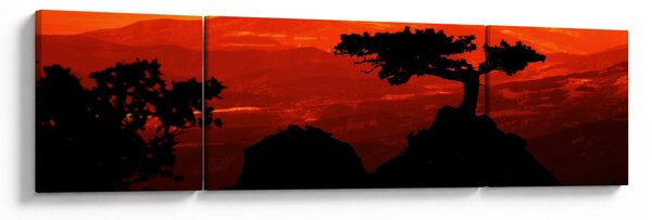 Obraz - Zachód słońca (170x50 cm)