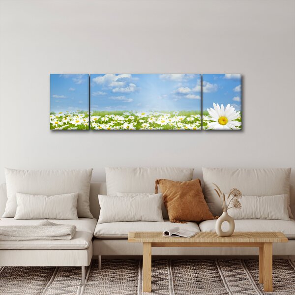 Obraz kwitnącej łąki ze stokrotkami (170x50 cm)