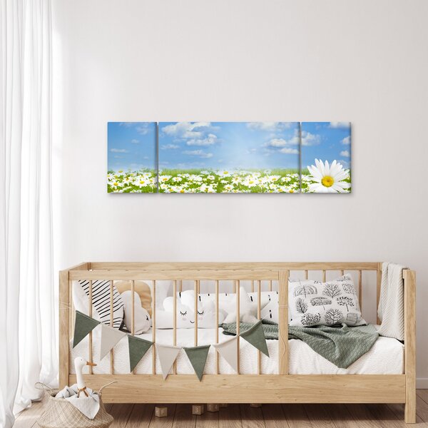 Obraz kwitnącej łąki ze stokrotkami (170x50 cm)