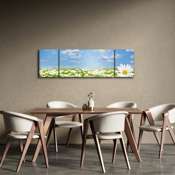 Obraz kwitnącej łąki ze stokrotkami (170x50 cm)