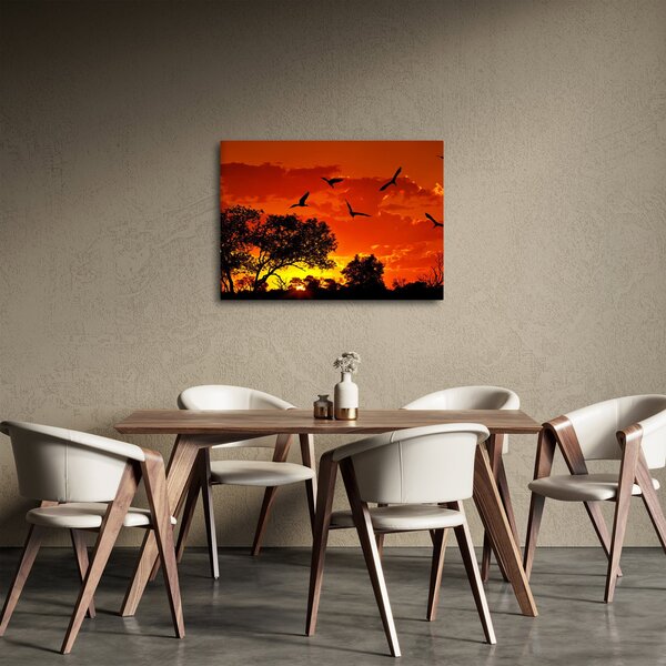 Obraz ptaków o zachodzie słońca (70x50 cm)