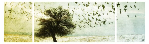 Obraz - Malowane stado ptaków (170x50 cm)