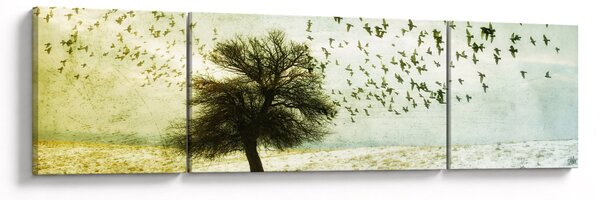 Obraz - Malowane stado ptaków (170x50 cm)