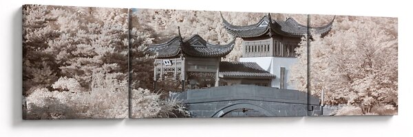 Obraz - Kwitnące drzewa w Azji (170x50 cm)