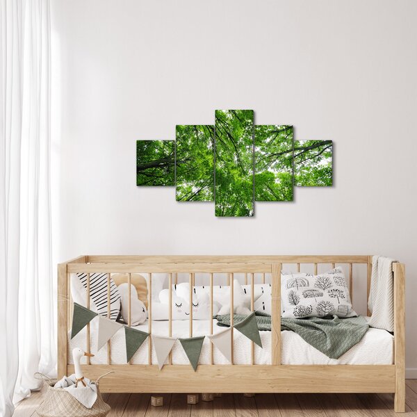 Obraz - Widok do korony drzewa (125x70 cm)