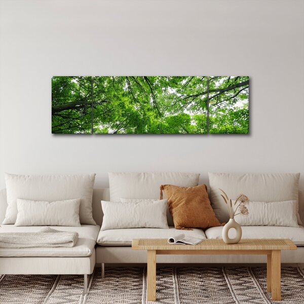 Obraz - Widok do korony drzewa (170x50 cm)