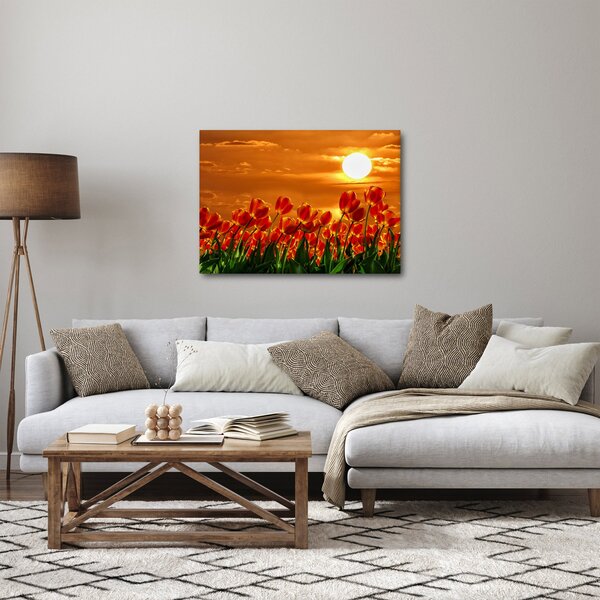 Obraz kwitnącego pola z tulipanami (70x50 cm)