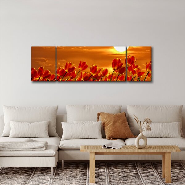Obraz kwitnącego pola z tulipanami (170x50 cm)