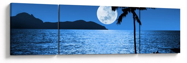 Obraz - Księżyc nad poziomem morza (170x50 cm)