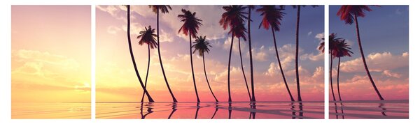 Obraz palm wznoszących się nad powierzchnią (170x50 cm)
