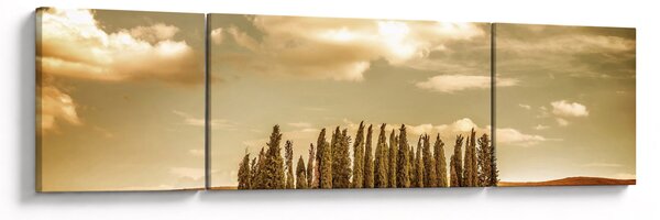 Obraz leśnej łąki (170x50 cm)