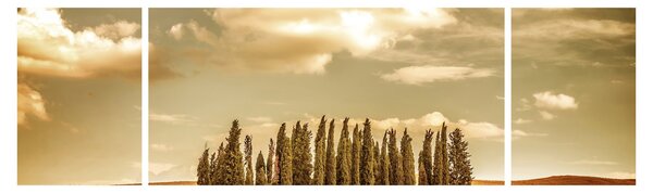 Obraz leśnej łąki (170x50 cm)