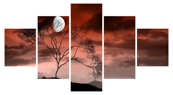 Obraz - Księżyc oświetlający noc (125x70 cm)
