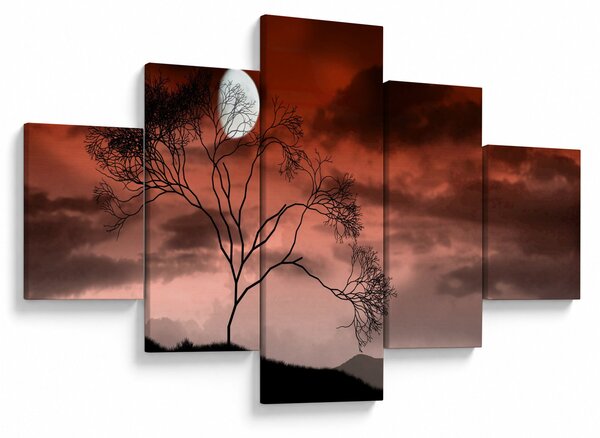 Obraz - Księżyc oświetlający noc (125x70 cm)