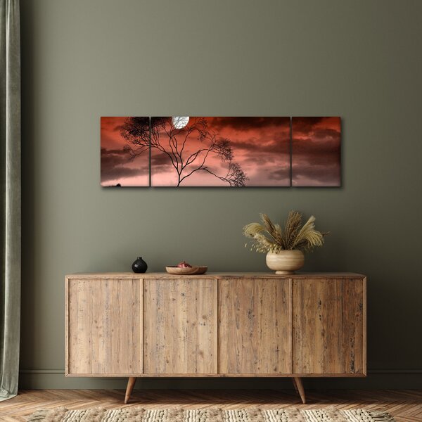 Obraz - Księżyc oświetlający noc (170x50 cm)