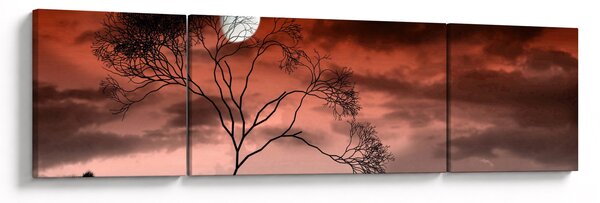 Obraz - Księżyc oświetlający noc (170x50 cm)
