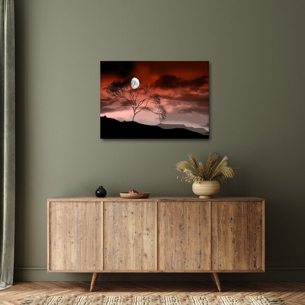 Obraz - Księżyc oświetlający noc (70x50 cm)