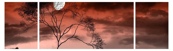 Obraz - Księżyc oświetlający noc (170x50 cm)