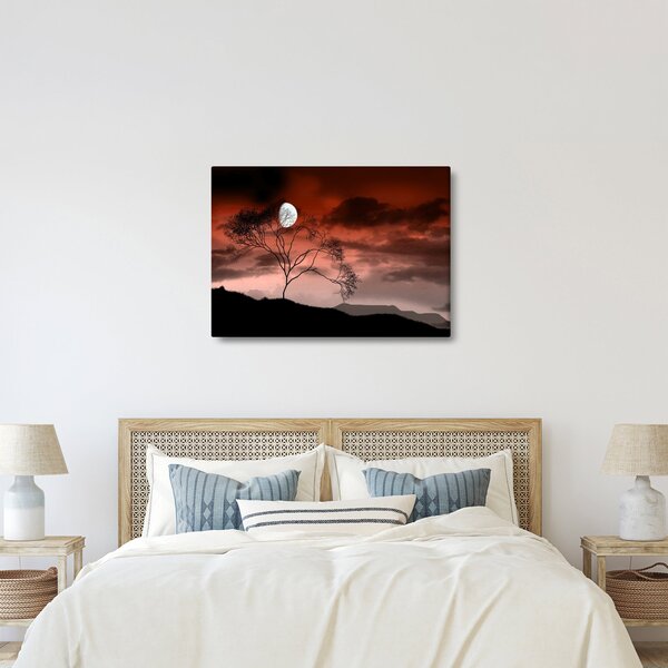 Obraz - Księżyc oświetlający noc (70x50 cm)