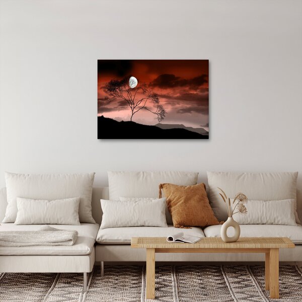 Obraz - Księżyc oświetlający noc (70x50 cm)