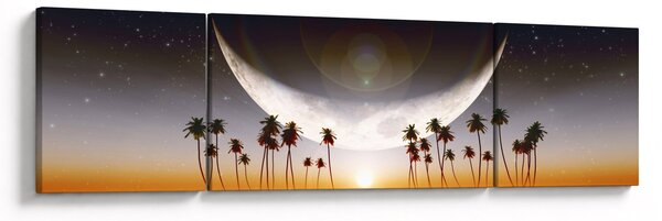 Obraz - Księżyc nad palmami (170x50 cm)