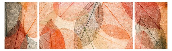 Obraz malowanych jesiennych liści (170x50 cm)