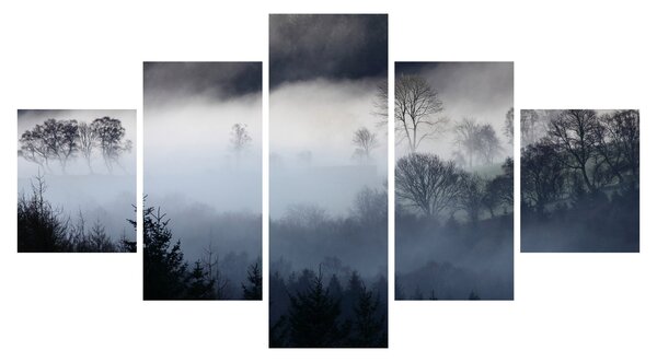 Obraz mgły nad lasem (125x70 cm)