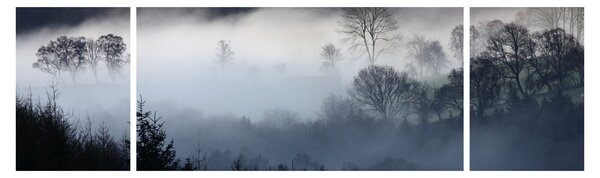 Obraz mgły nad lasem (170x50 cm)