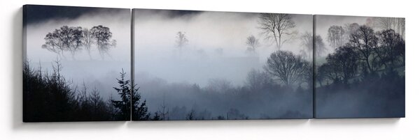 Obraz mgły nad lasem (170x50 cm)